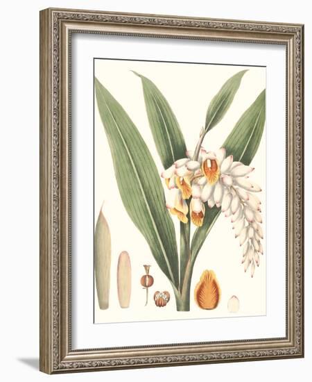 Soft Tropical I-null-Framed Art Print