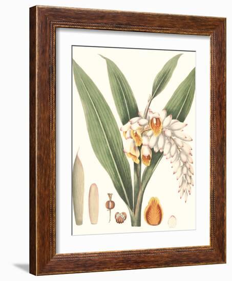 Soft Tropical I-null-Framed Art Print