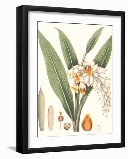 Soft Tropical I-null-Framed Art Print