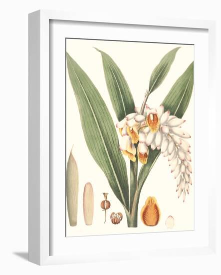 Soft Tropical I-null-Framed Art Print