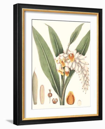 Soft Tropical I-null-Framed Art Print