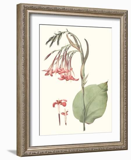 Soft Tropical III-null-Framed Art Print