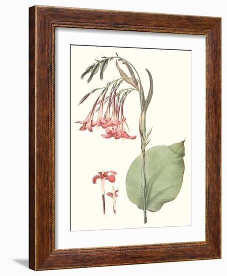 Soft Tropical III-null-Framed Art Print