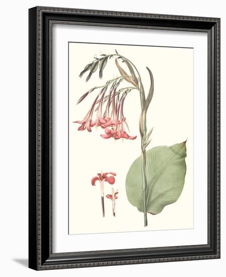 Soft Tropical III-null-Framed Art Print