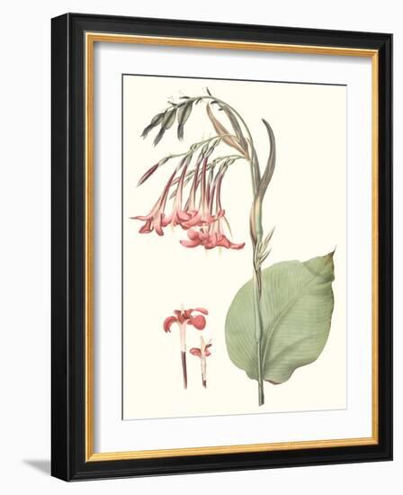 Soft Tropical III-null-Framed Art Print