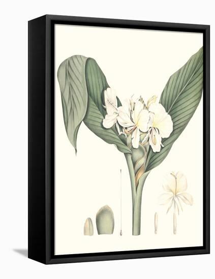 Soft Tropical V-null-Framed Stretched Canvas