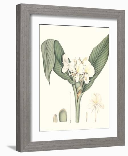 Soft Tropical V-null-Framed Art Print