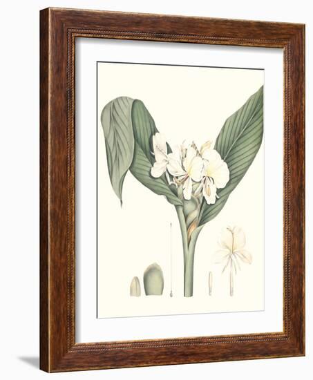 Soft Tropical V-null-Framed Art Print