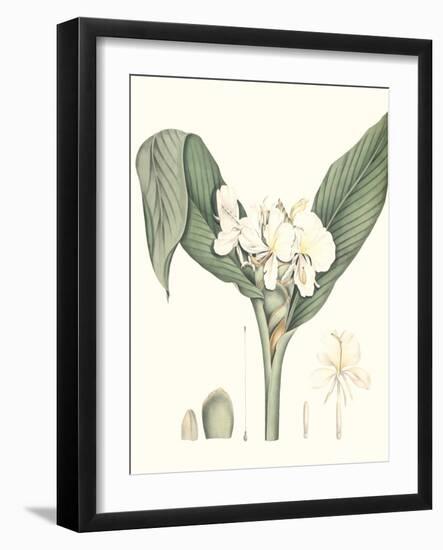 Soft Tropical V-null-Framed Art Print