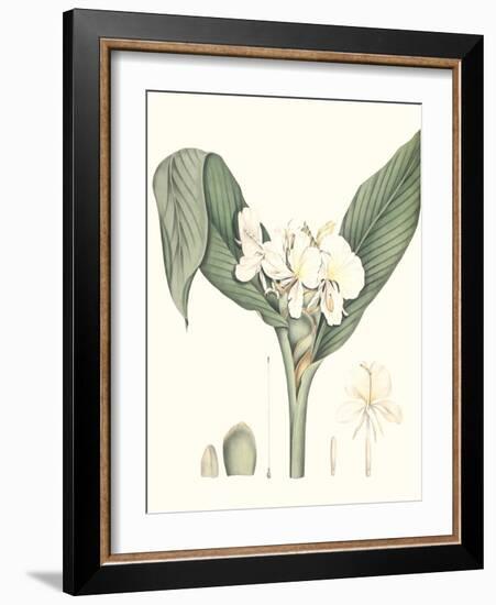 Soft Tropical V-null-Framed Art Print