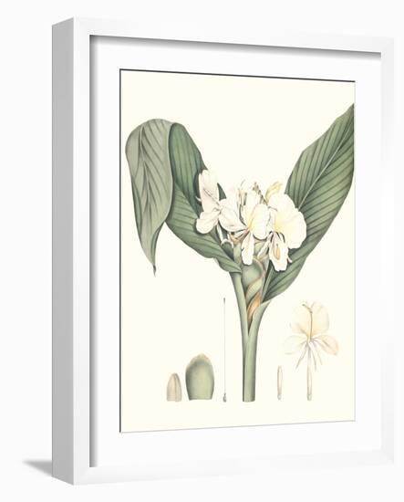 Soft Tropical V-null-Framed Art Print