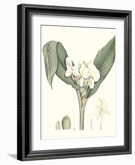 Soft Tropical V-null-Framed Art Print