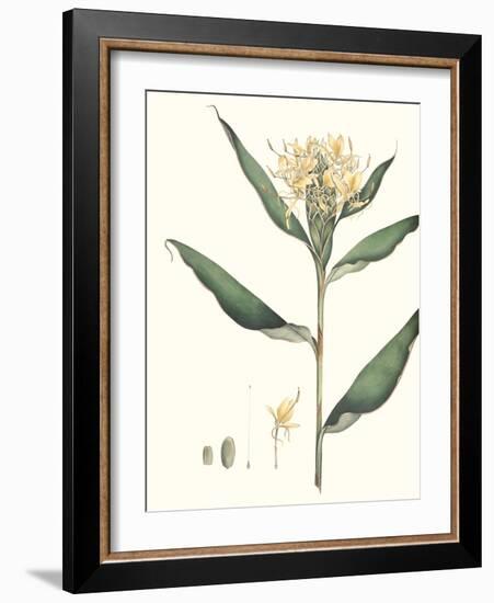 Soft Tropical VIII-null-Framed Art Print