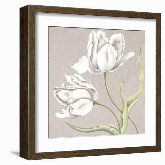 Soft Tulip II-Ellen Hudson-Framed Art Print