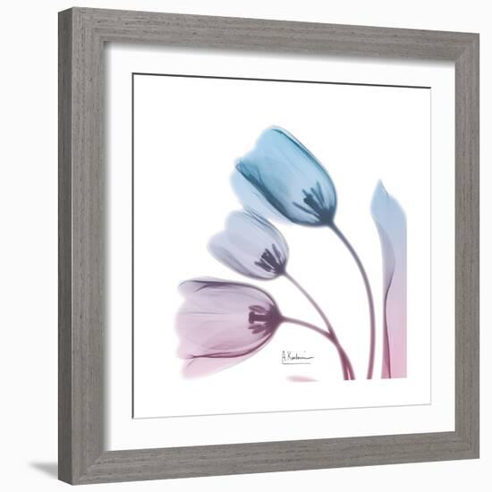 Soft Tulips Rose Serenity-Albert Koetsier-Framed Art Print