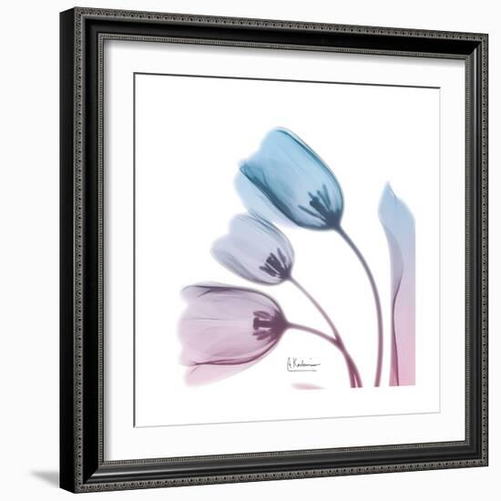 Soft Tulips Rose Serenity-Albert Koetsier-Framed Art Print