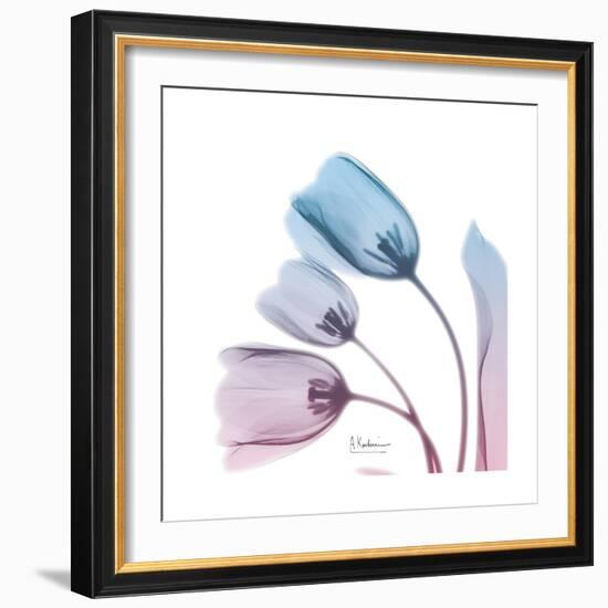 Soft Tulips Rose Serenity-Albert Koetsier-Framed Art Print