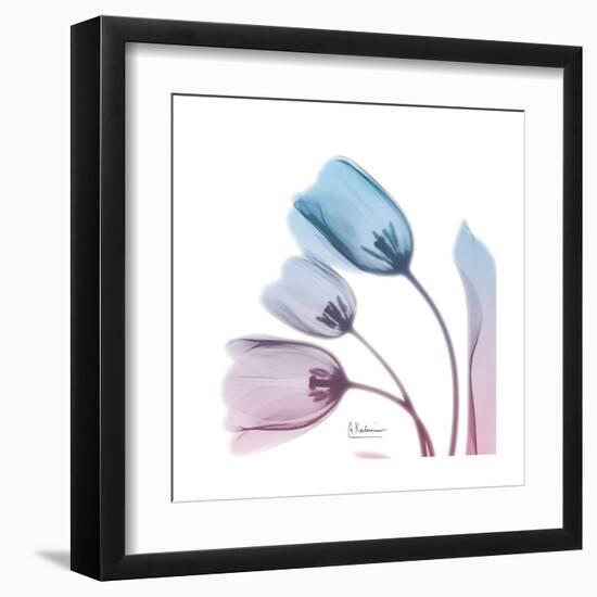 Soft Tulips Rose Serenity-Albert Koetsier-Framed Art Print