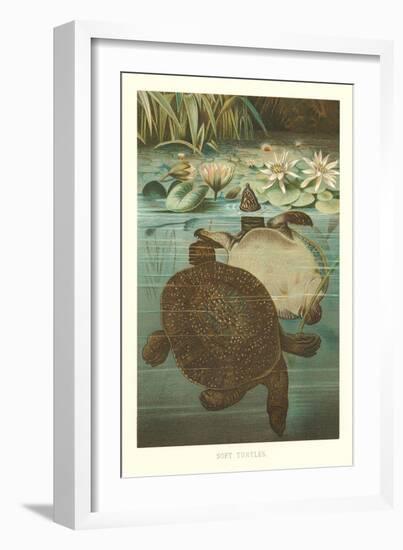 Soft Turtles-null-Framed Art Print