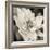 Soft Water Lily-Pete Kelly-Framed Giclee Print