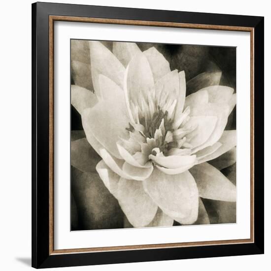 Soft Water Lily-Pete Kelly-Framed Giclee Print