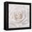 Soft White Rose-Cora Niele-Framed Premier Image Canvas