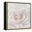 Soft White Rose-Cora Niele-Framed Premier Image Canvas