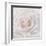 Soft White Rose-Cora Niele-Framed Photographic Print