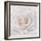 Soft White Rose-Cora Niele-Framed Photographic Print