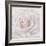 Soft White Rose-Cora Niele-Framed Photographic Print