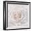 Soft White Rose-Cora Niele-Framed Photographic Print