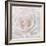 Soft White Rose-Cora Niele-Framed Photographic Print