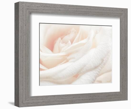 Softest Flower Beauty 1-null-Framed Photographic Print