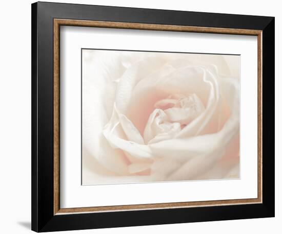 Softest Flower Beauty 3-null-Framed Photographic Print