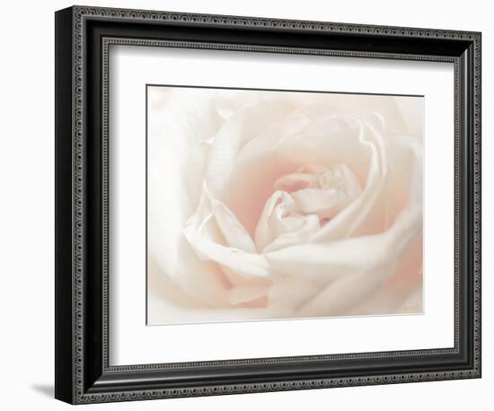 Softest Flower Beauty 3-null-Framed Photographic Print