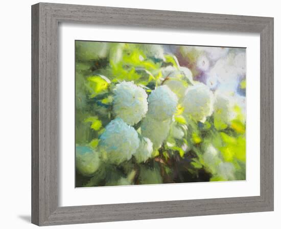 Softly Blooming-Helen White-Framed Photographic Print