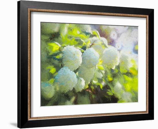 Softly Blooming-Helen White-Framed Photographic Print