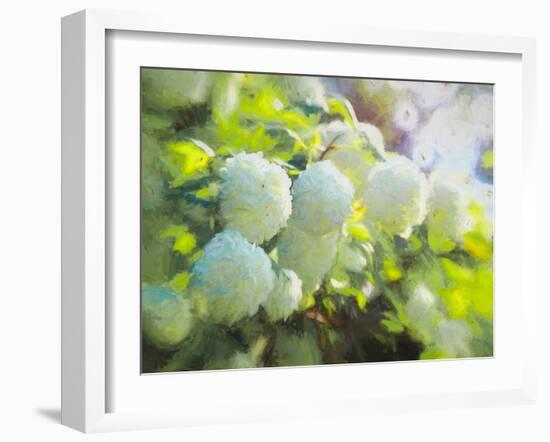 Softly Blooming-Helen White-Framed Photographic Print