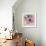 Softly Blushing Three-Ruth Palmer-Framed Art Print displayed on a wall
