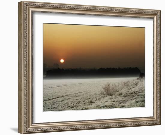 Softly Padded-Doug Chinnery-Framed Photographic Print