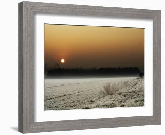 Softly Padded-Doug Chinnery-Framed Photographic Print