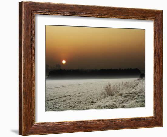 Softly Padded-Doug Chinnery-Framed Photographic Print