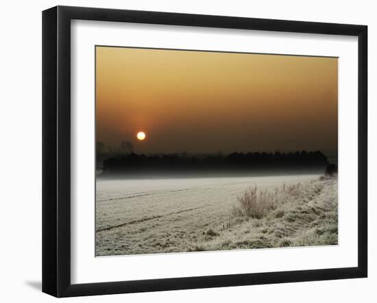 Softly Padded-Doug Chinnery-Framed Photographic Print