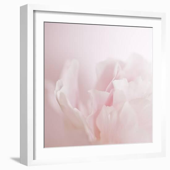 Softly Pink-Doug Chinnery-Framed Photographic Print