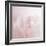 Softly Pink-Doug Chinnery-Framed Photographic Print