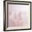 Softly Pink-Doug Chinnery-Framed Photographic Print