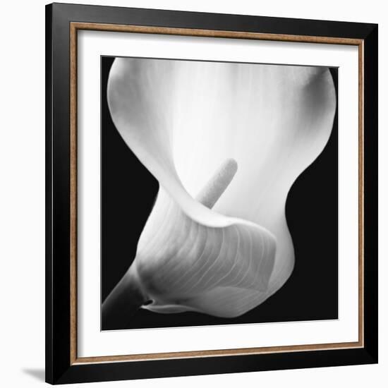 Softness I-Assaf Frank-Framed Art Print