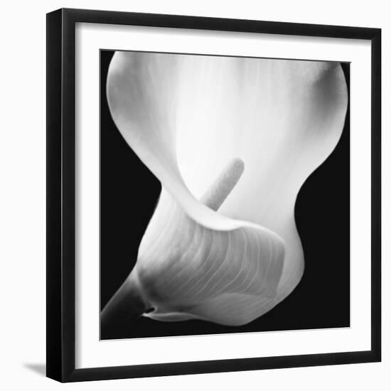 Softness I-Assaf Frank-Framed Art Print