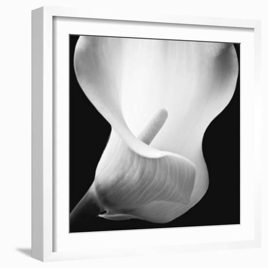 Softness I-Assaf Frank-Framed Art Print