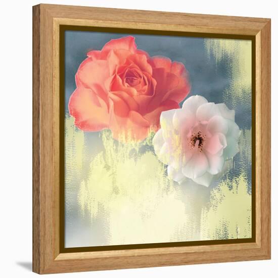 Softness-Andrew Michaels-Framed Stretched Canvas